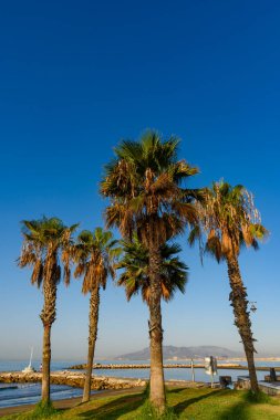 Malaga, İspanya - 06 Ağustos 2024: Malaga, İspanya 'da Playa El Dedo