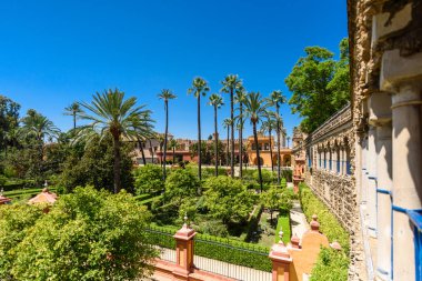 Sevilla, İspanya - 01 Ağustos 2024: Royal Palace 'daki Patio de las Doncellas, Seville, Endülüs, İspanya' daki Real Alcazar (1360 yılında inşa edildi). Sevilla 'nın Alczar' ı, resmi adı Sevilla Kraliyet Alczar 'ı.,