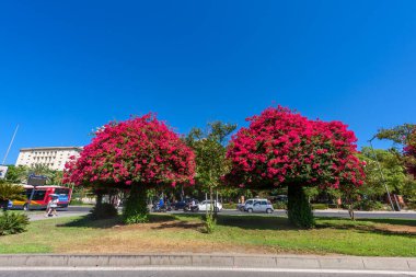 Sevilla, İspanya - 01 Ağustos 2024: Fuente de las Cuatro Estaciones. Sevilla, İspanya 'da Dört Mevsim Çeşmesi