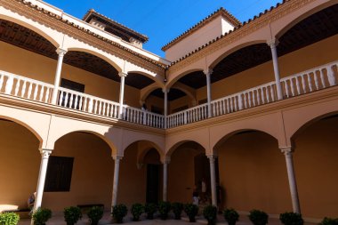 Malaga, İspanya - 06 Ağustos 2024: Pablo Picasso Müzesi, Malaga, İspanya. İspanya, Malaga 'daki Picasso Müzesi' nden görüntü.