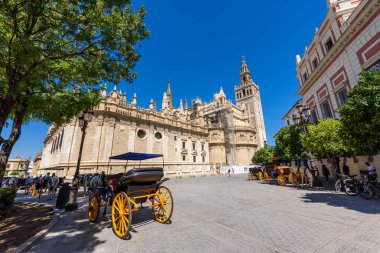 Seville, İspanya - 01 Ağustos 2024: Sevilla Katedrali (Katedral de Santa Maria de la Sede), İspanya, Endülüs 'te Gotik stil mimarisi. İspanya, Sevilla 'nın tarihi binaları ve anıtları.