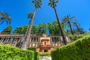 Sevilla, Spain - August 01, 2024: Patio de las Doncellas in Royal palace, Real Alcazar (built in 1360) in Seville, Andalusia, Spain. The Alczar of Seville, officially called Royal Alczar of Seville, clipart