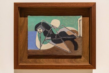 Malaga, İspanya - 06 Ağustos 2024: Pablo Picasso Müzesi, Malaga, İspanya. İspanya 'nın Malaga kentindeki Picasso müzesini ziyaret ediyorum. Picasso Müzesi 'nden sanat resimleri.