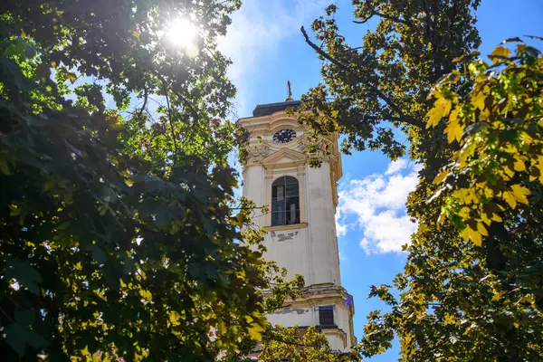Almaska kilisesi Novi Sad 'daki Sırp Ortodoks Kilisesi' nin üç hiyerarşisinin tapınağı.. 