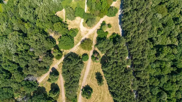 Fruska Gora İHA 'dan çekilmiş.