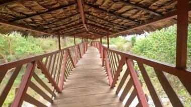 Ormanda ahşap köprü
