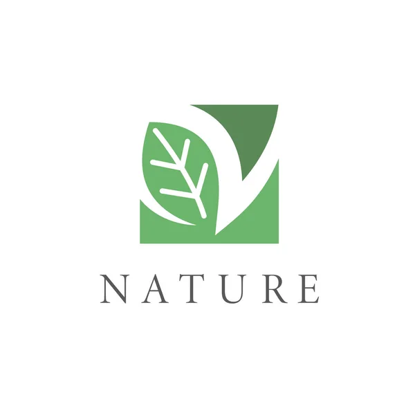 Letter Leaf Nature Icon Vector Illustration Concept Design Template Stock Illustration