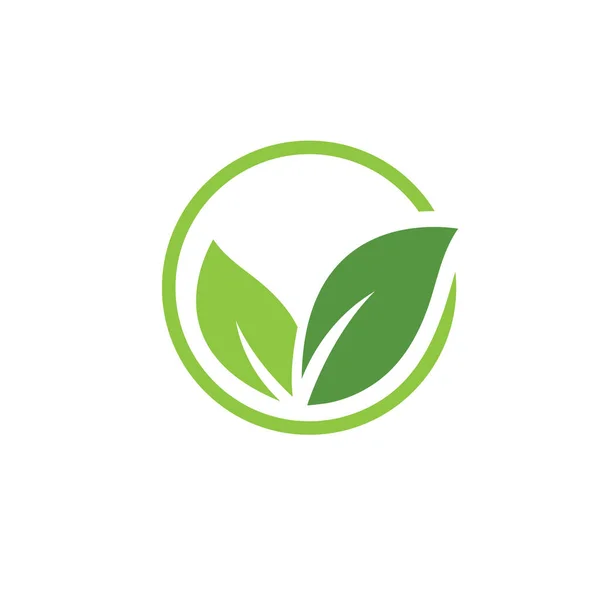 Eco Friendly Icon Vector Concept Design Template — Stock Vector