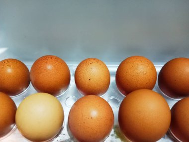 Buzdolabında tavuk yumurtası fotoğrafı var.