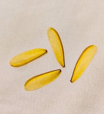 Termitlerin kanatları gövdesinden ayrılır.