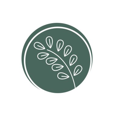 moringa logo ikonu vektör tasarım şablonu ağı