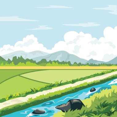 Dağları ve sulama nehri olan pirinç tarlalarının vektör çizimi