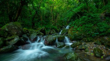 Zümrüt vadide serin ve berrak bir dere akıyor