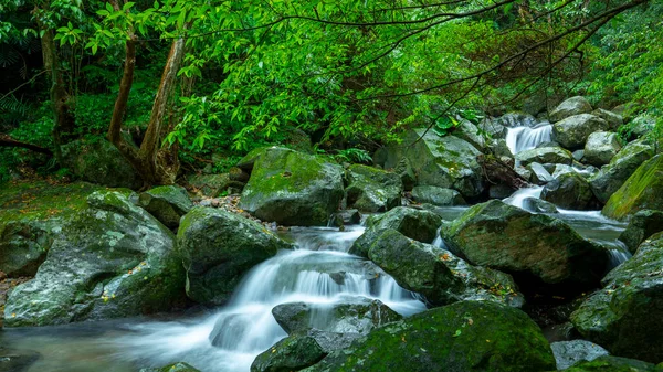 stock image In the emerald valley flows a cool and clear stream