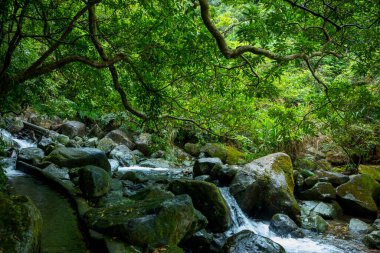Vadiden temiz ve serin bir dere akıyor.