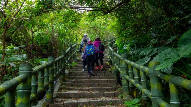 Orman yolunda yürüyüş yapan turistler