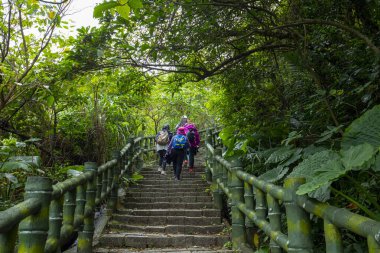 Orman yolunda yürüyüş yapan turistler