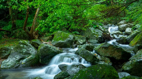 stock image In the emerald valley flows a cool and clear stream