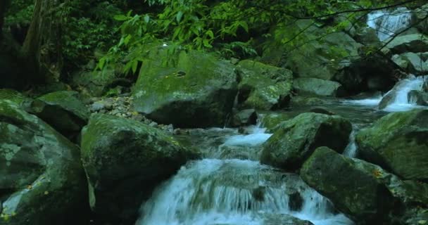Dans Vallée Émeraude Coule Ruisseau Frais Clair — Video