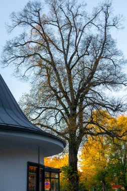 Otobüs durağı Almanya 'nın Bavyera kentindeki Neuschwanstein Kalesi' nin ziyaretçi merkezinde.