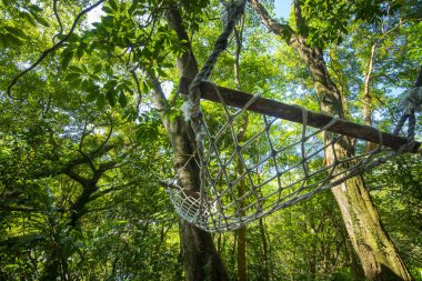 Ağacın altındaki hamak orman kulübesinin dışında.
