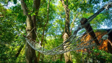 Ağacın altındaki hamak orman kulübesinin dışında.