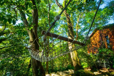 Ağacın altındaki hamak orman kulübesinin dışında.