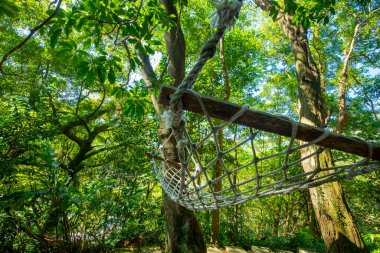 Ağacın altındaki hamak orman kulübesinin dışında.