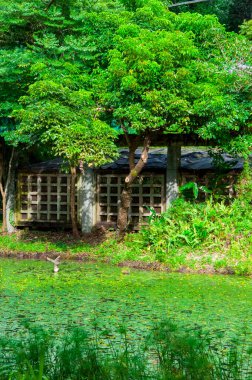Taipei, Tayvan 'daki Shihlin Konağı Chiang Kai-shek' in resmi ikametgahıdır.