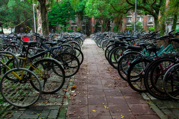 Many bicycles are parked in the bicycle parking lot on the university campus
