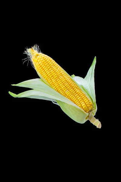 黑色背景上的瘦削丰满的玉米 — 图库照片