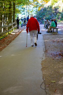 Almanya 'nın Bavyera kentindeki Neuschwanstein Kalesi Parkı' nı ziyaret eden insanlar (11 Ekim 2017, Almanya, Bavyera)