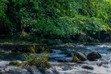 Vadideki yemyeşil bir derenin üzerindeki taşlardan yapılmış kemer köprü.