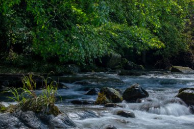 Vadideki yemyeşil bir derenin üzerindeki taşlardan yapılmış kemer köprü.
