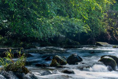 Vadideki yemyeşil bir derenin üzerindeki taşlardan yapılmış kemer köprü.
