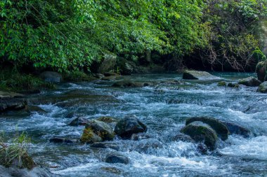Vadideki yemyeşil bir derenin üzerindeki taşlardan yapılmış kemer köprü.