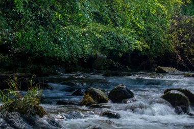 Vadideki yemyeşil bir derenin üzerindeki taşlardan yapılmış kemer köprü.