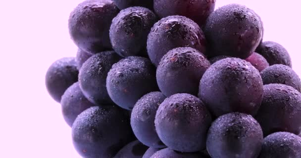 Знаменитий Плід Тайваню Фіолетовий Виноград — стокове відео