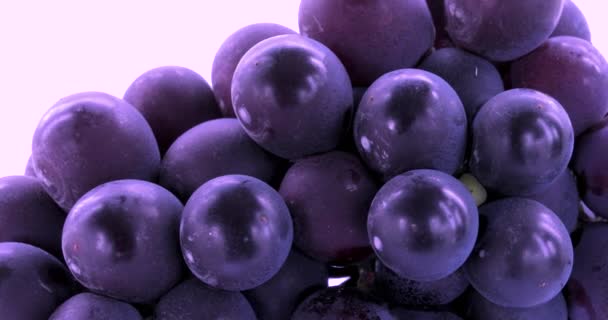 Знаменитий Плід Тайваню Фіолетовий Виноград — стокове відео