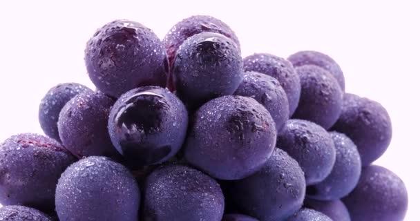 Taiwan Famous Fruit Kyoho Grape Purple Grape — Stock Video