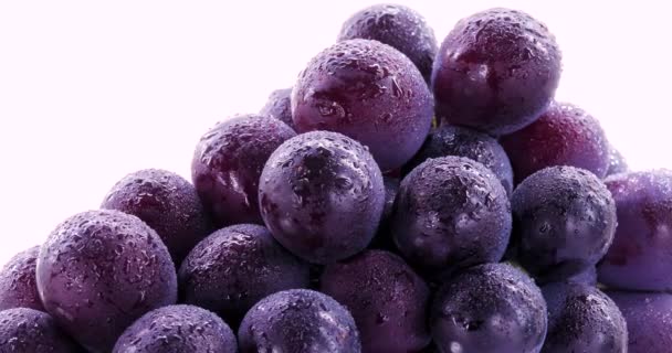 Taiwan Famous Fruit Kyoho Grape Purple Grape — Stock Video