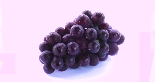 Знаменитый Тайваньский Фрукт Kyoho Виноград Фиолетовый — стоковое видео