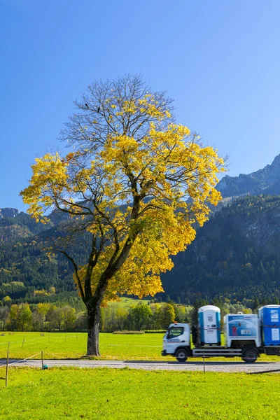 Árboles Altos Junto Carretera Pequeña Ciudad Schwangau Baviera Alemania — Foto de Stock