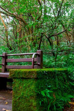 Taipei 'deki Yangmingshan Ormanı' nın yanındaki dinlenme yerinde halk sandalyeleri.