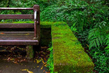 Taipei 'deki Yangmingshan Ormanı' nın yanındaki dinlenme yerinde halk sandalyeleri.