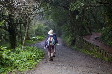 Taipei 'nin banliyölerindeki Yangmingshan insanların yürüyüşe çıkması için iyi bir yer.