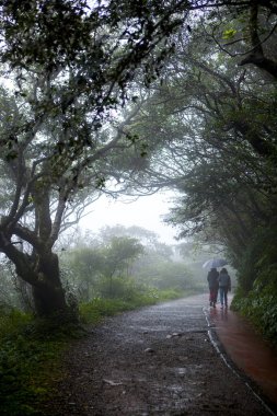 Taipei 'nin banliyölerindeki Yangmingshan insanların yürüyüşe çıkması için iyi bir yer.