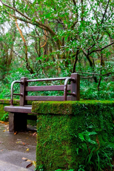 Taipei 'deki Yangmingshan Ormanı' nın yanındaki dinlenme yerinde halk sandalyeleri.