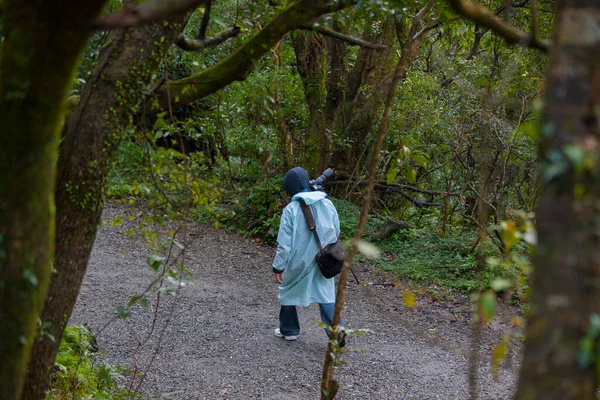 stock image Photographer carrying photographic equipment on forest trail