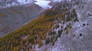 İsviçre Alplerindeki en büyük buzul aletschgletscher Buz Nehri.